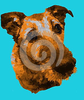 Dog paint Ã¢â¬â¹Ã¢â¬â¹sitting isolated cyan backgrond photo